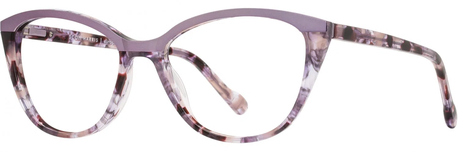 Scott Harris SH820 Eyeglasses - view 9
